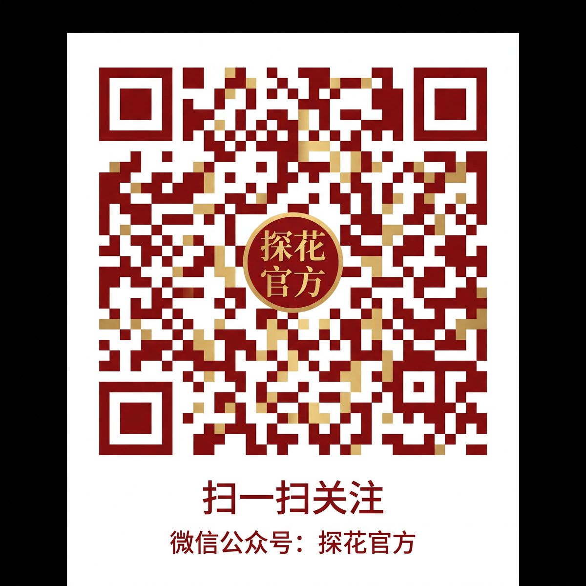 国产视频公众号二维码